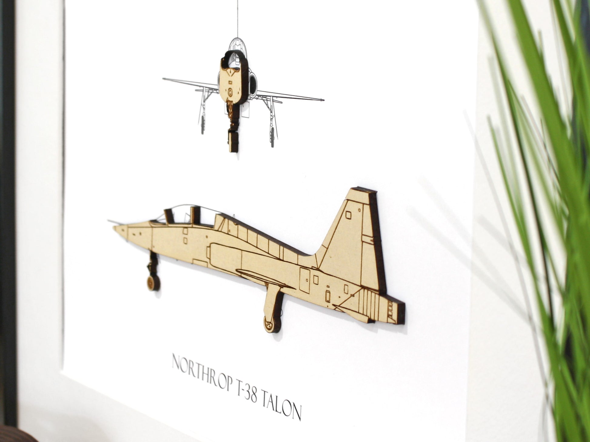 Northrop T-38 Talon aviation art