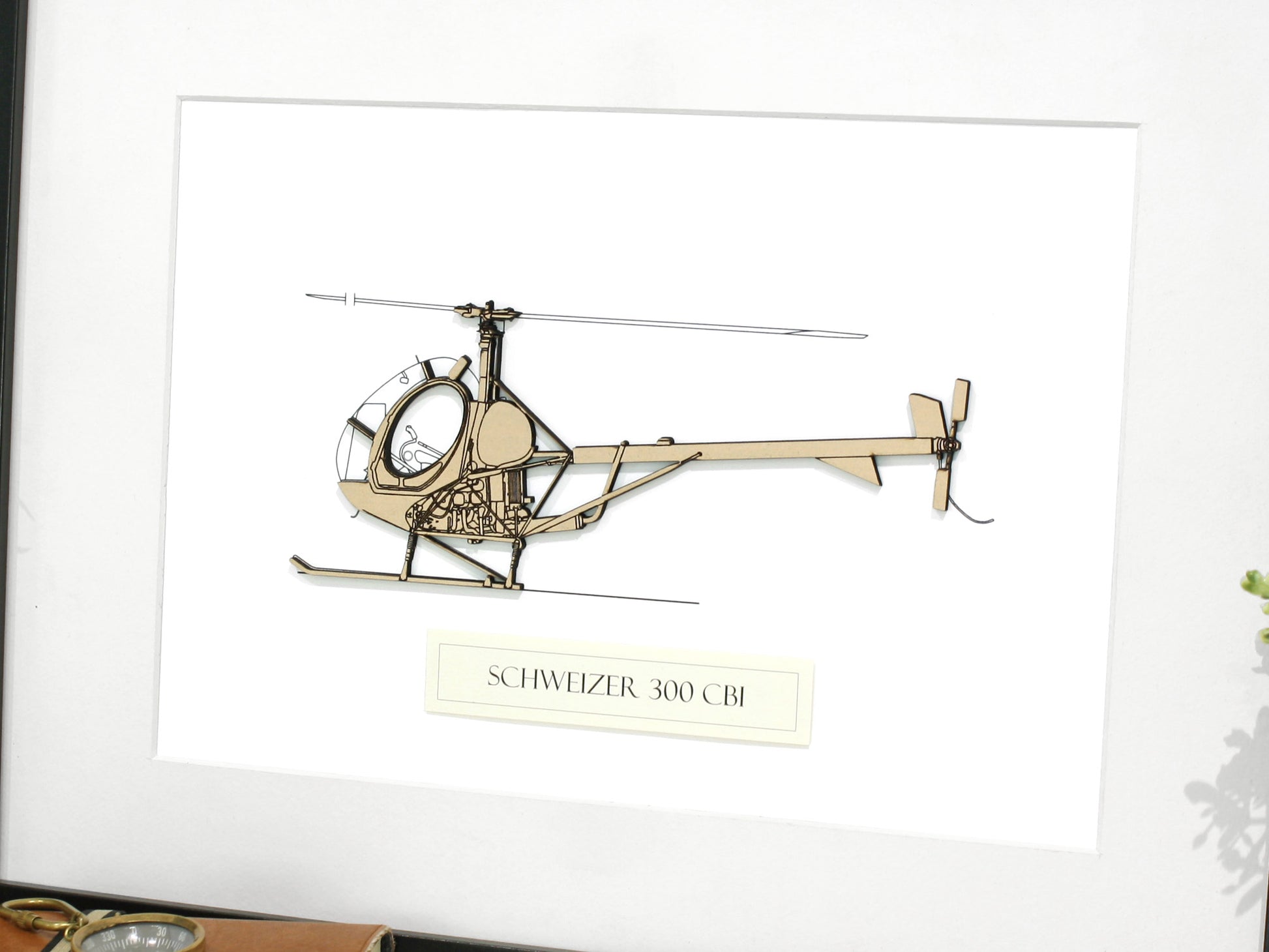 Schweizer 300 CBi helicopter art