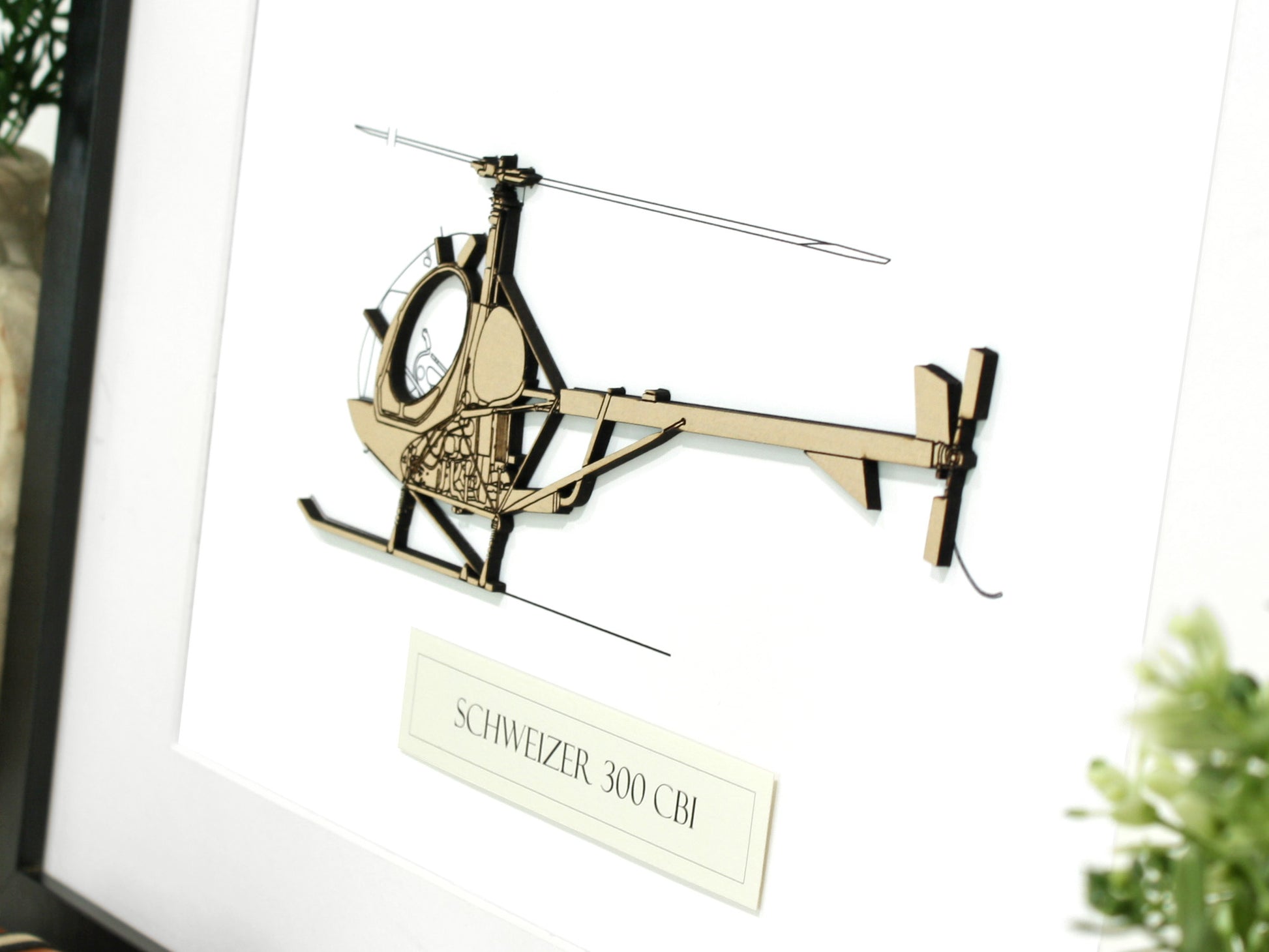 Schweizer 300 CBi helicopter art