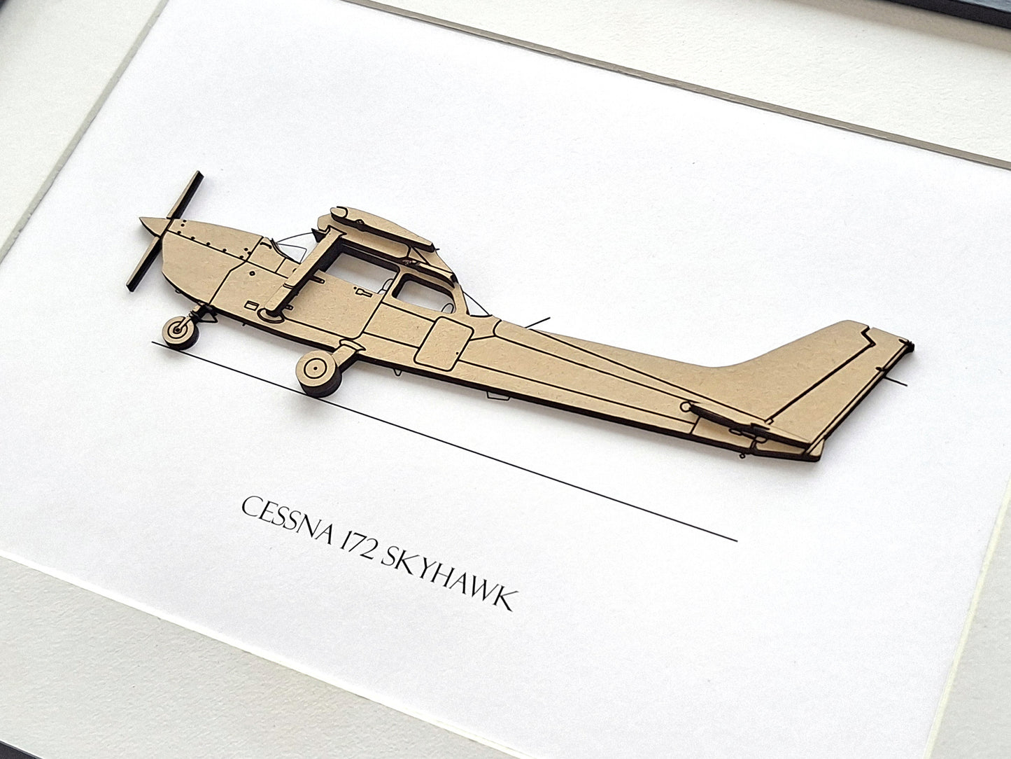 Cessna 172 Skyhawk pilot gifts