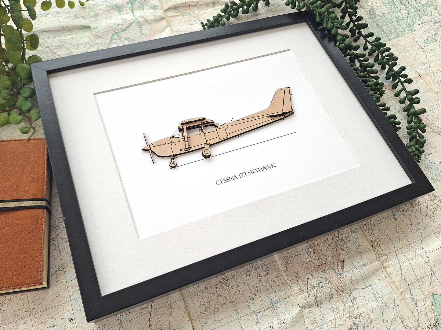 Cessna 172 Skyhawk aviation gift