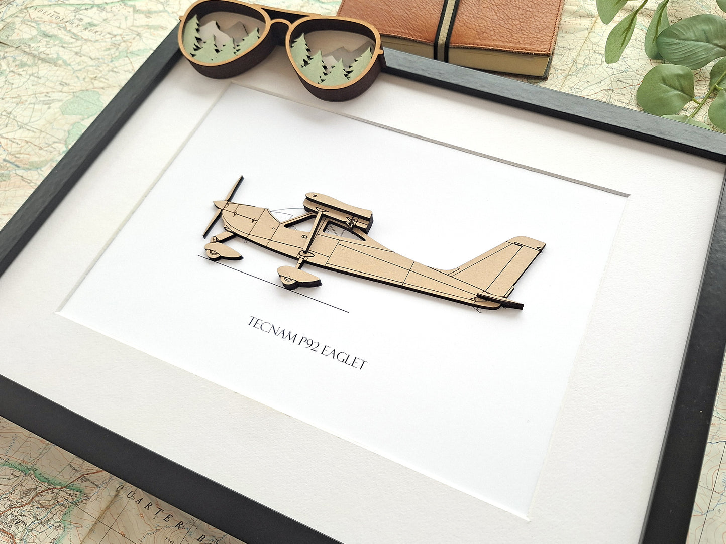 Tecnam P92 Eaglet aviation art