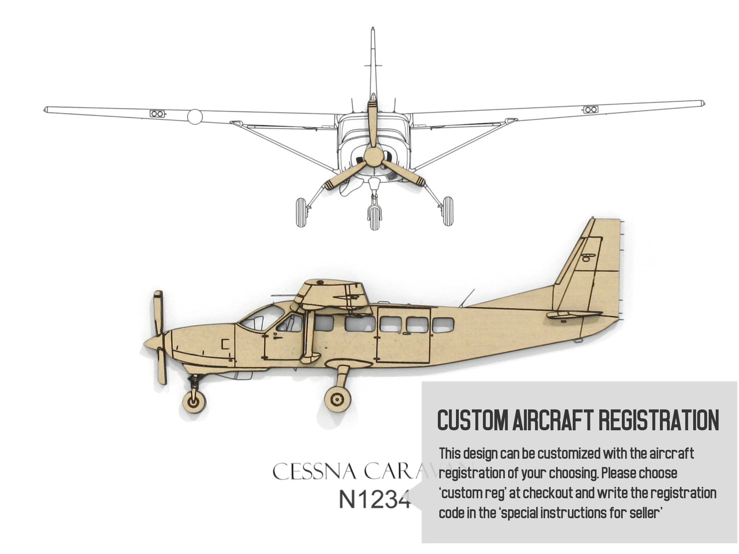 Cessna Caravan custom aviation art