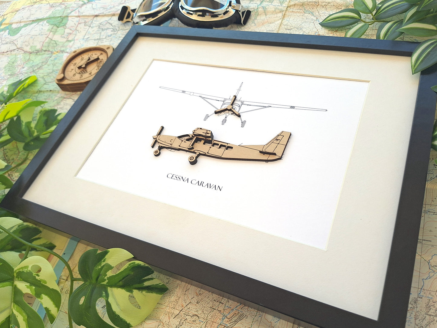 Cessna Caravan aviation art