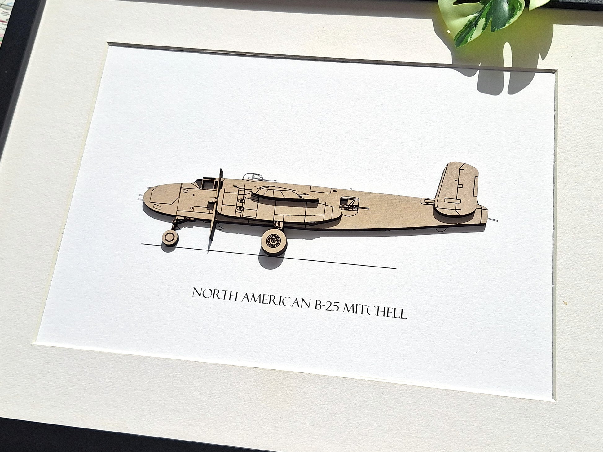 North American B-25 Mitchell aviation art