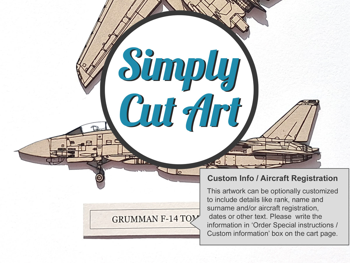 Arte de plano del Grumman F-14 Tomcat - GRANDE