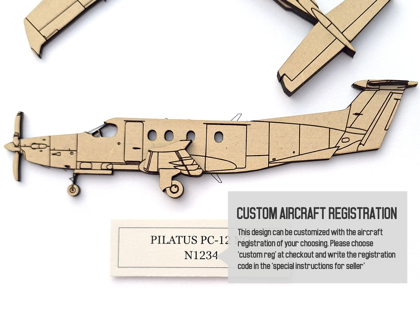 Pilatus PC-12 NG custom aviation art
