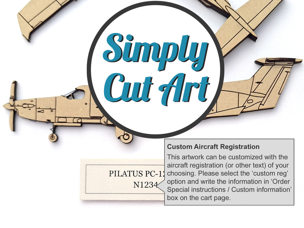 Arte de plano del Pilatus PC-12 NG - GRANDE