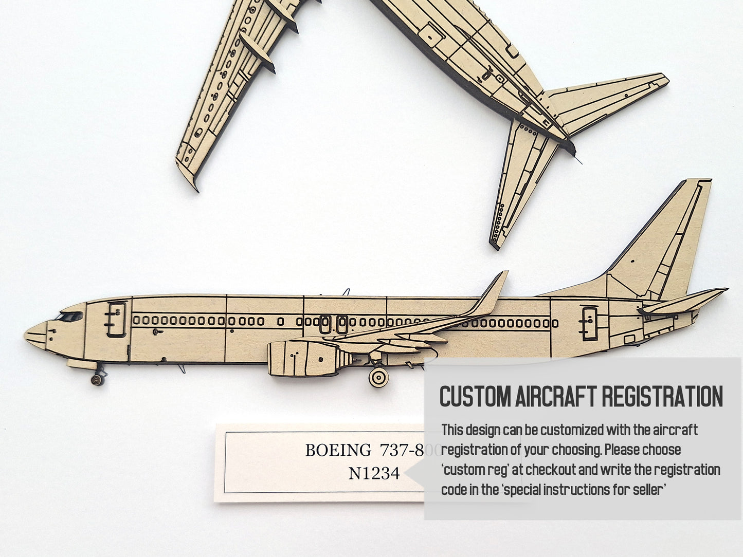 Boeing 737-800 custom aviation art