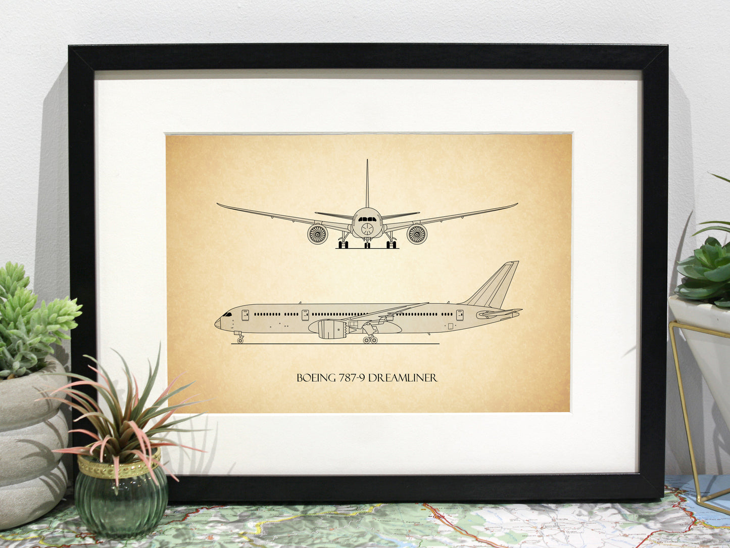 Boeing 787-9 Dreamliner aviation art