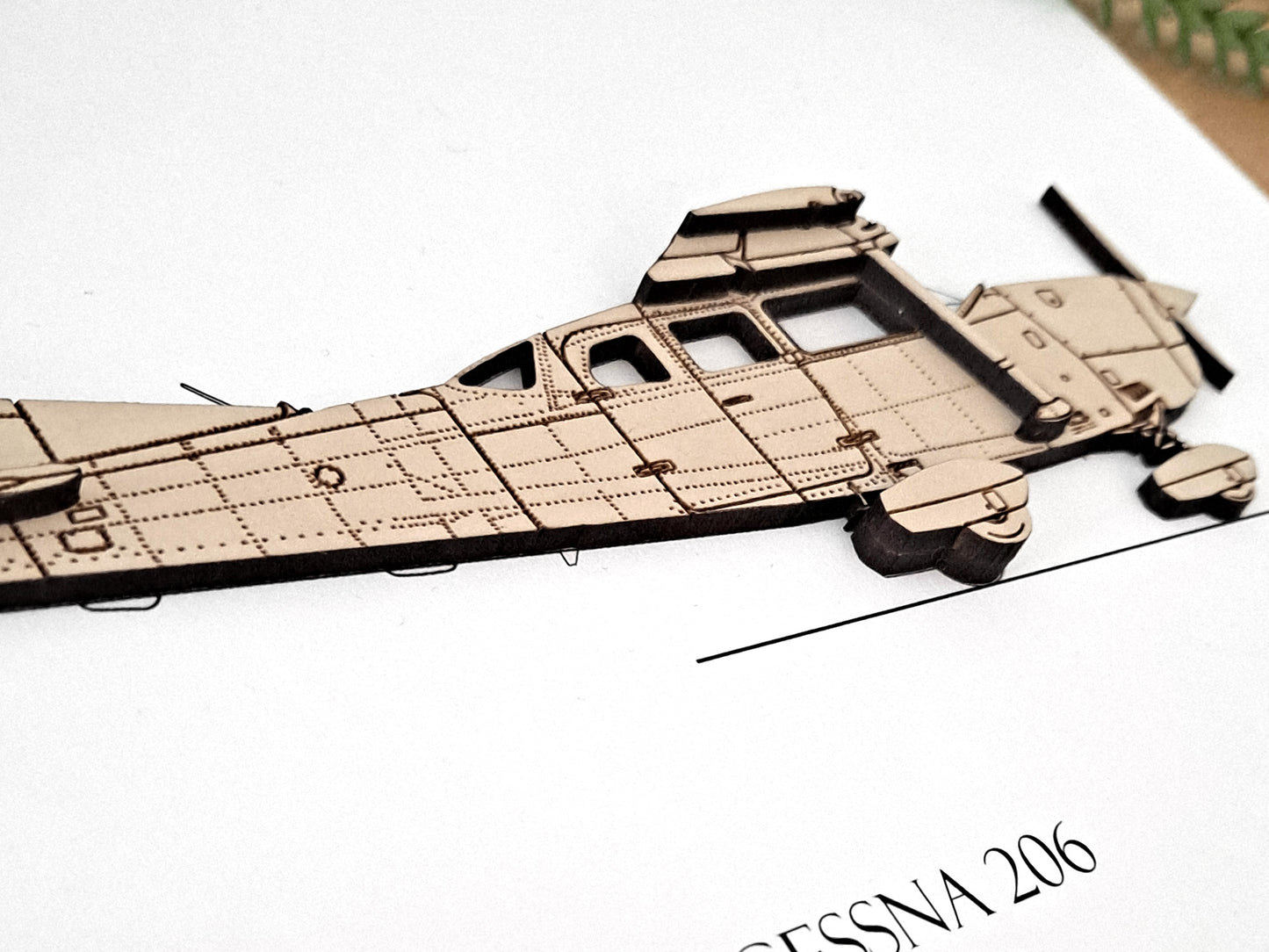 Cessna 206 aviation art