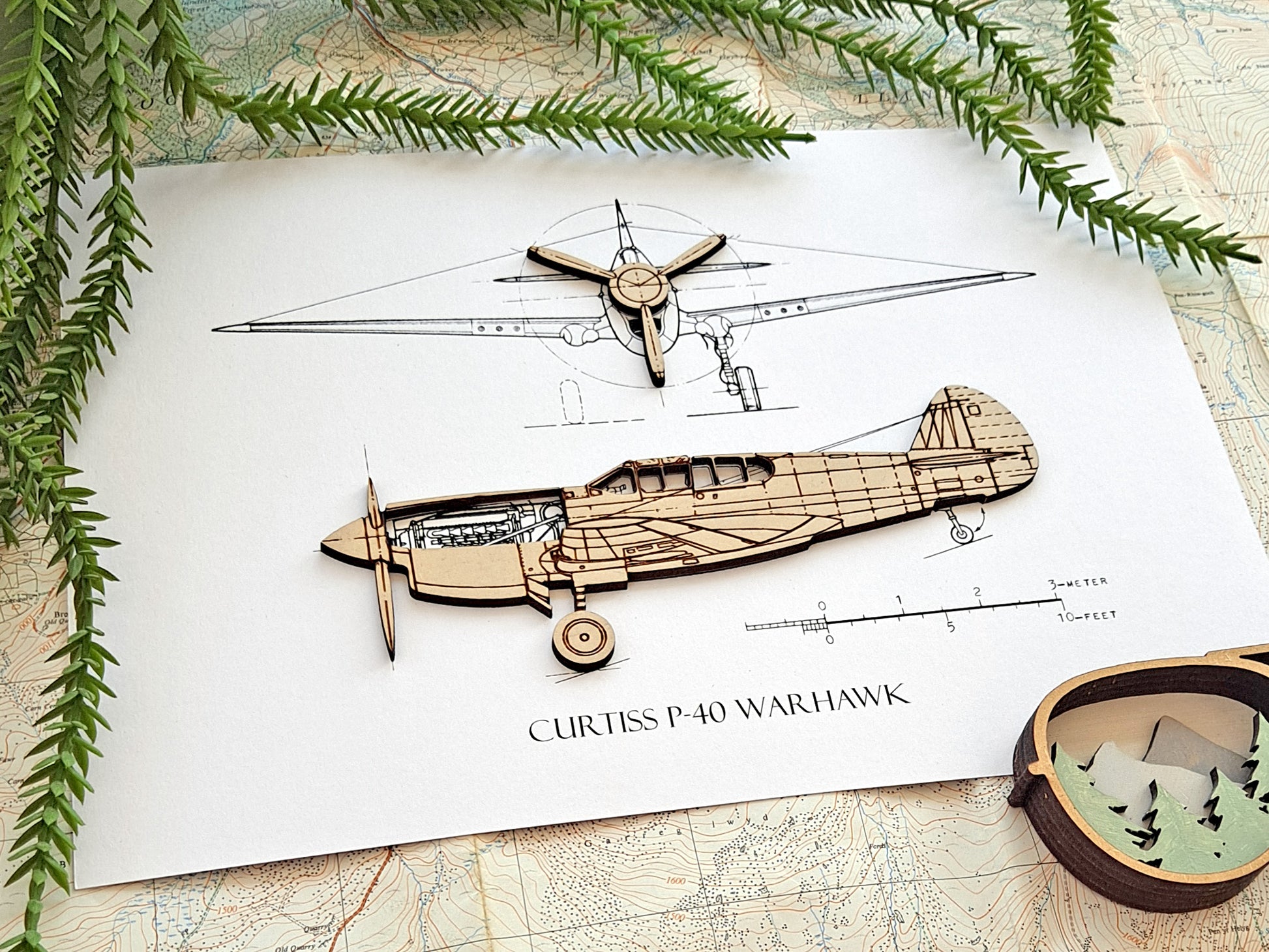 Curtiss P-40 Warhawk aircraft gifts