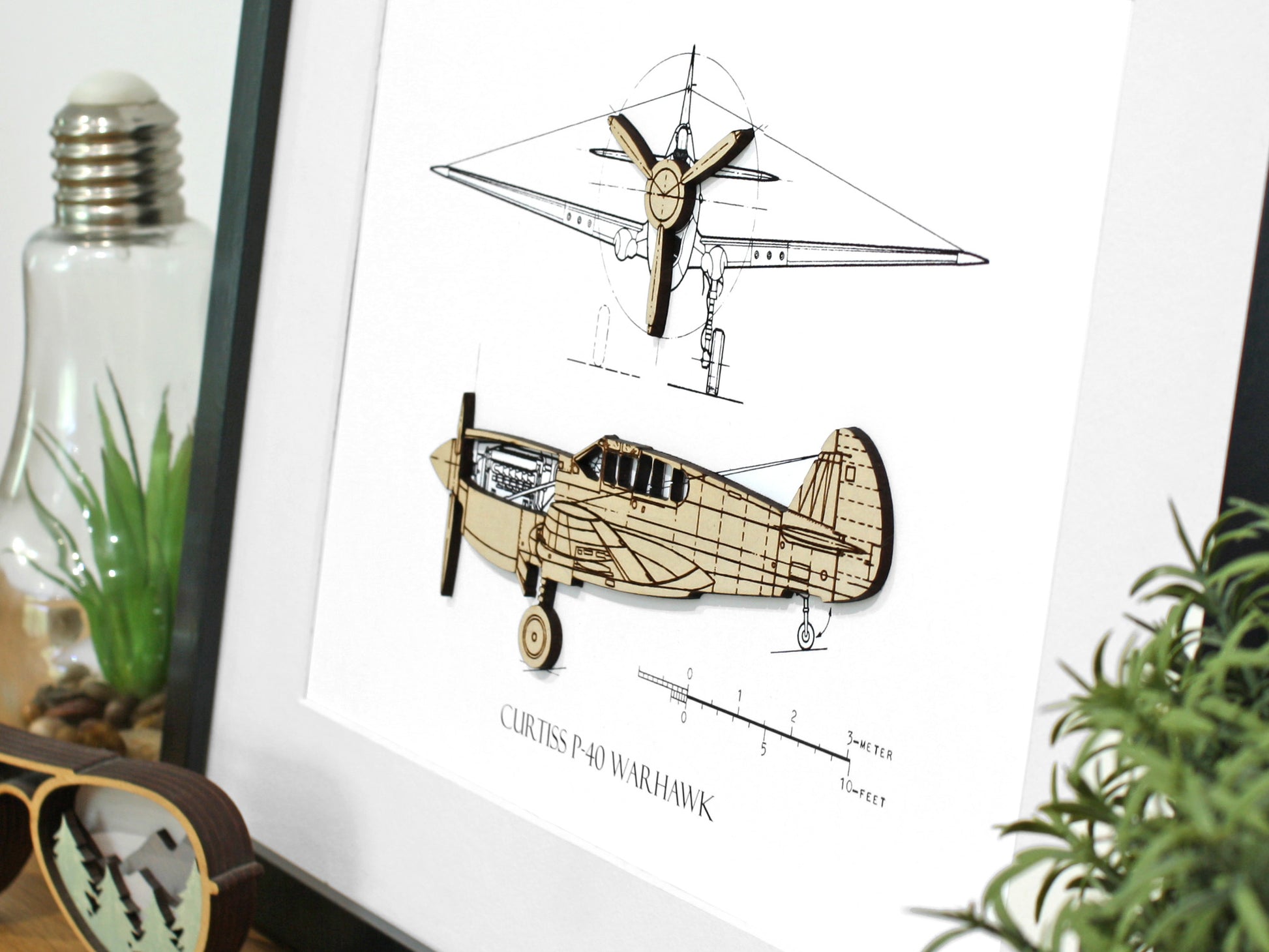 Curtiss P-40 Warhawk aviation home decor