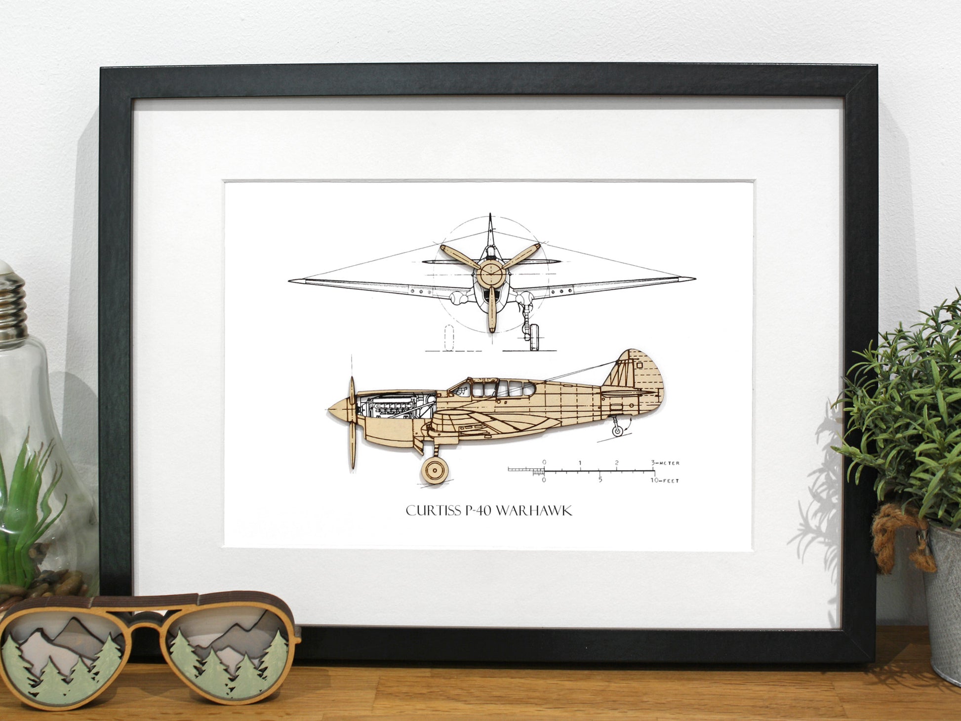 Curtiss P-40 Warhawk aviation home decor