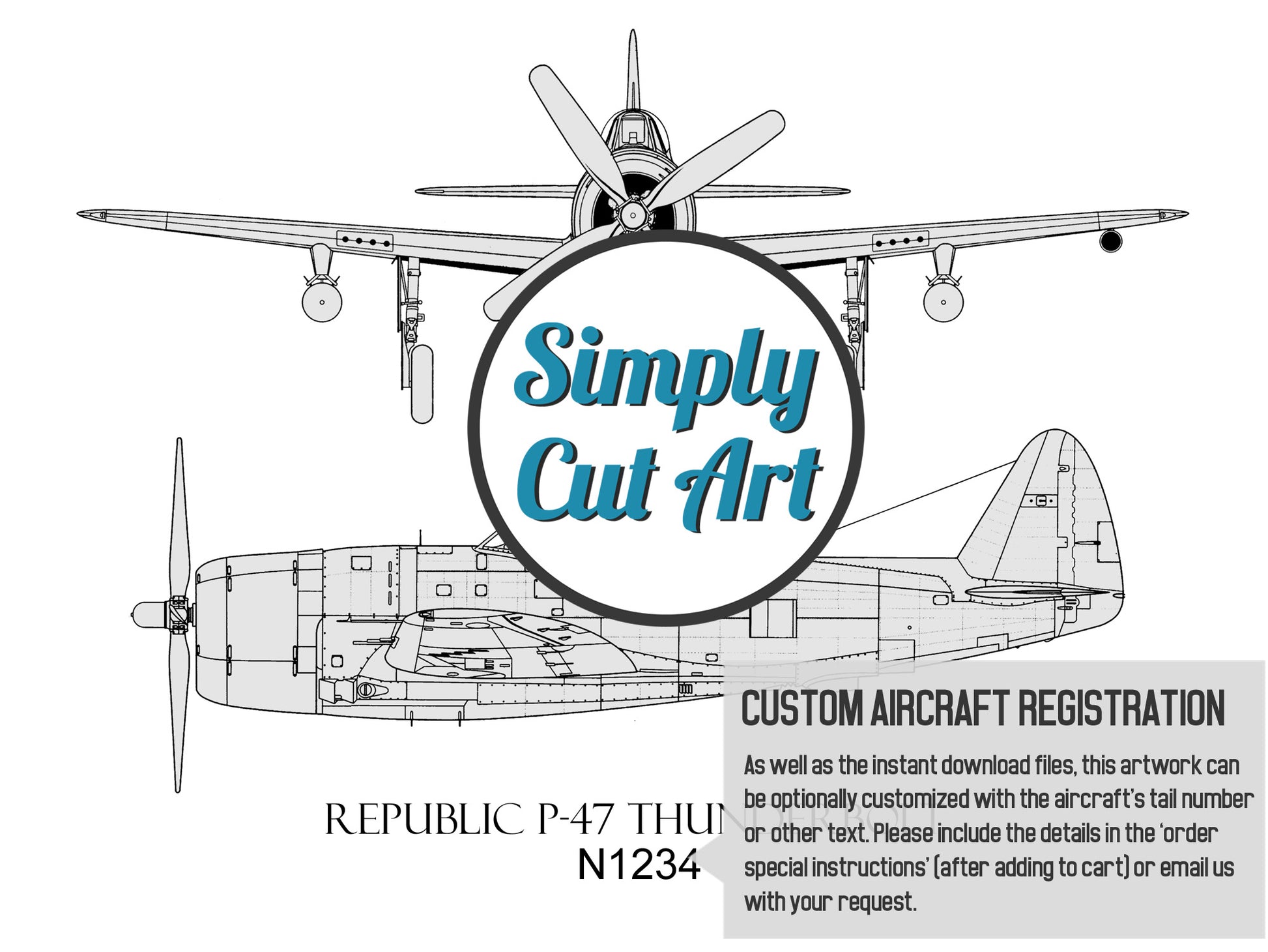 Republic P-47 Thunderbolt custom aviation art