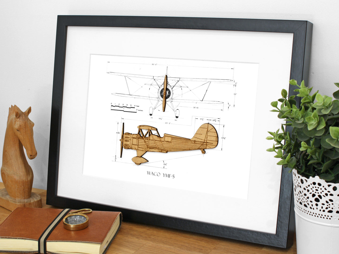 Biplane aviation art, Waco YMF-5