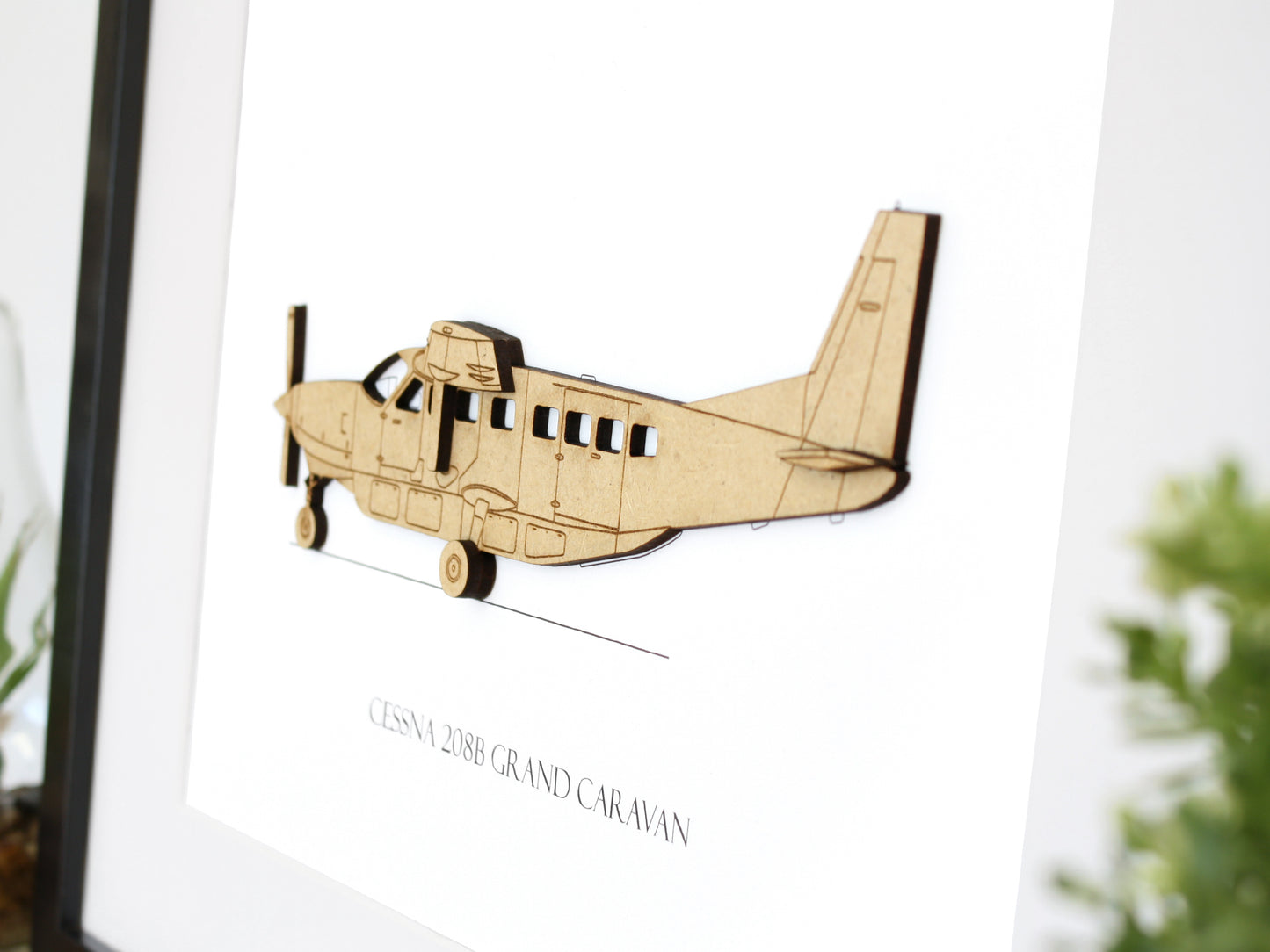 Cessna 208B Grand Caravan aviation art