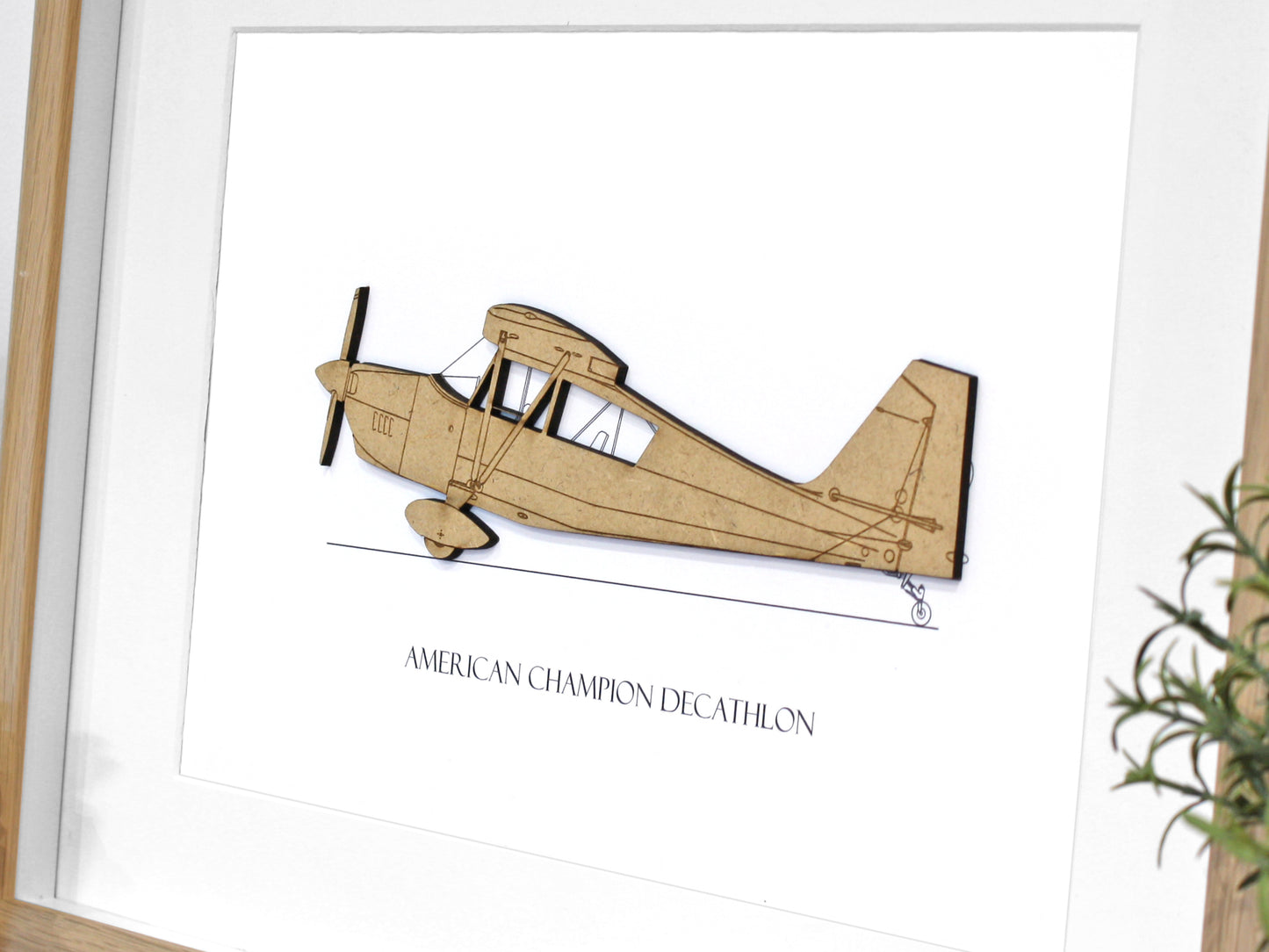 American Champion Decathlon aviation artwork