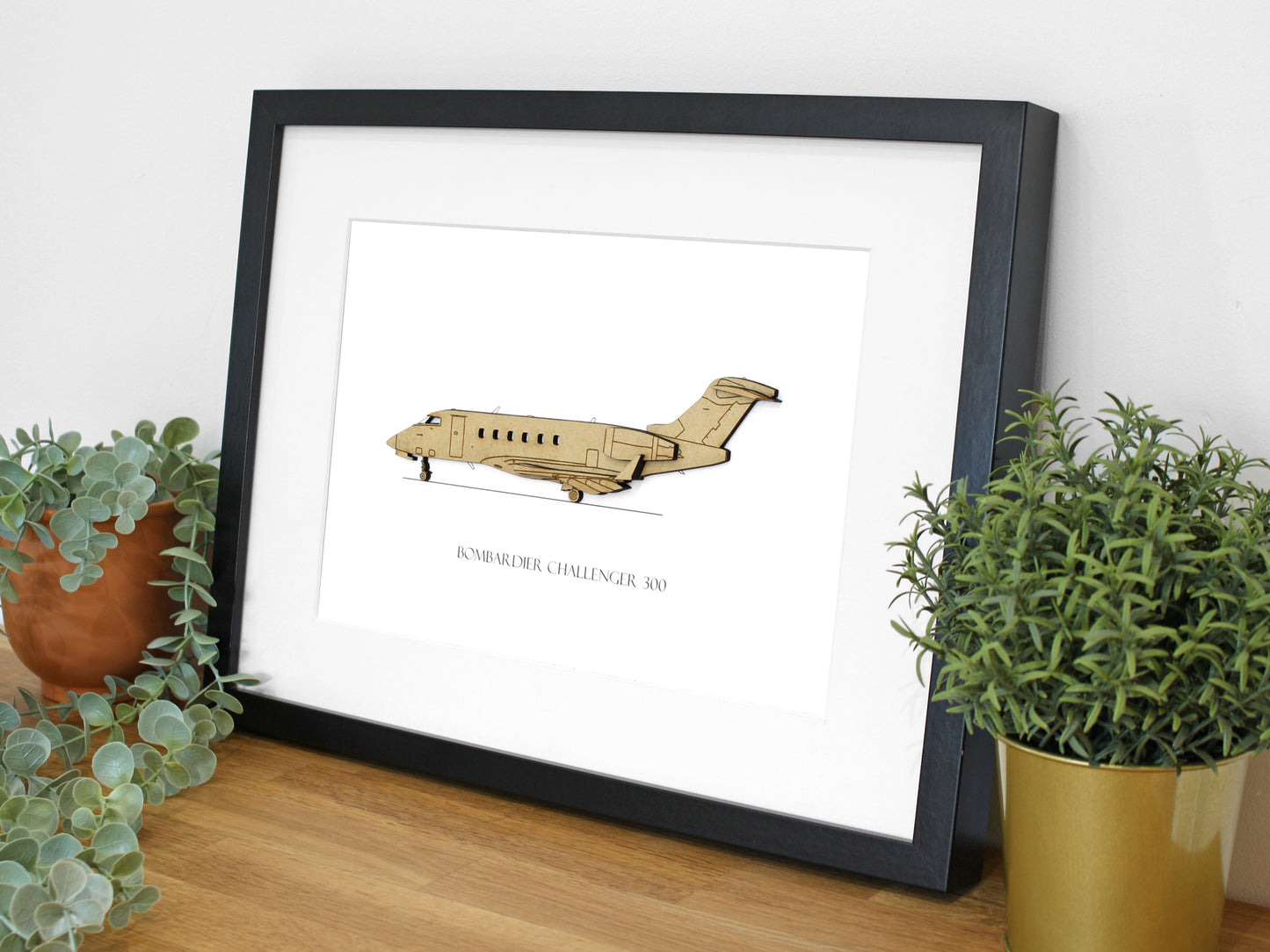 Bombardier Challenger 300 aircraft art