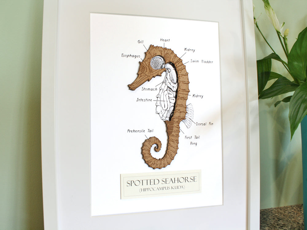 Seahorse nautical decor