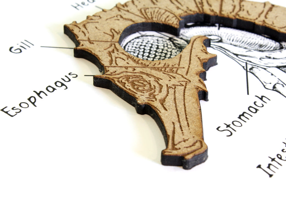 Seahorse nautical decor