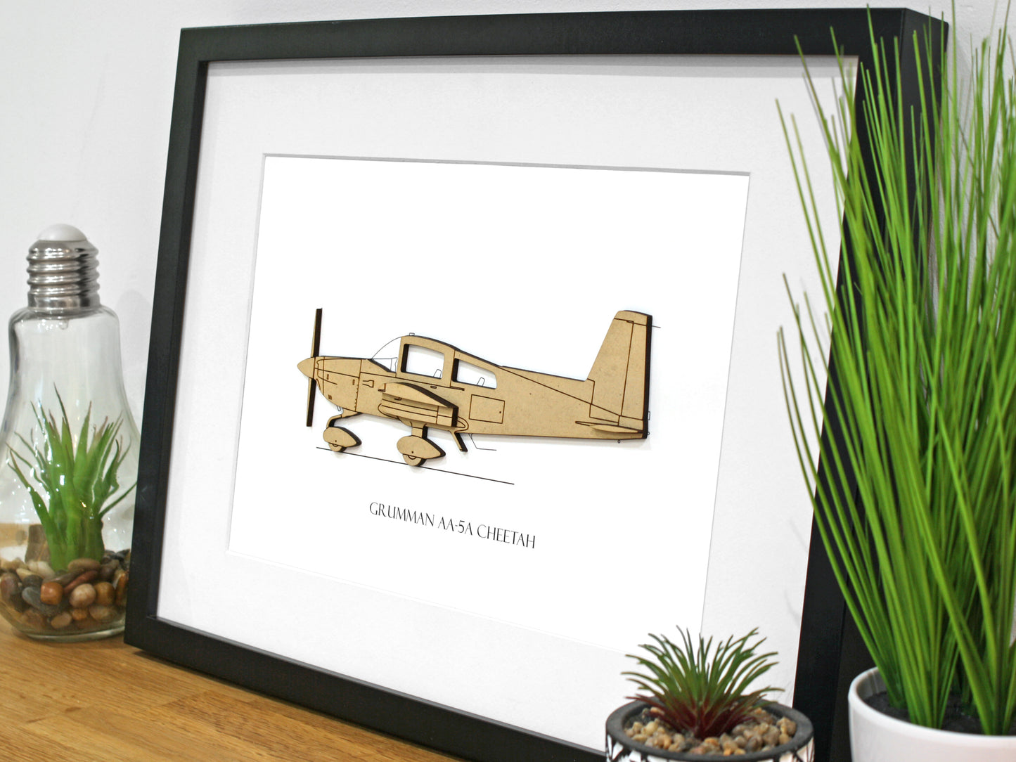 Grumman AA-5A Cheetah Aviation Art