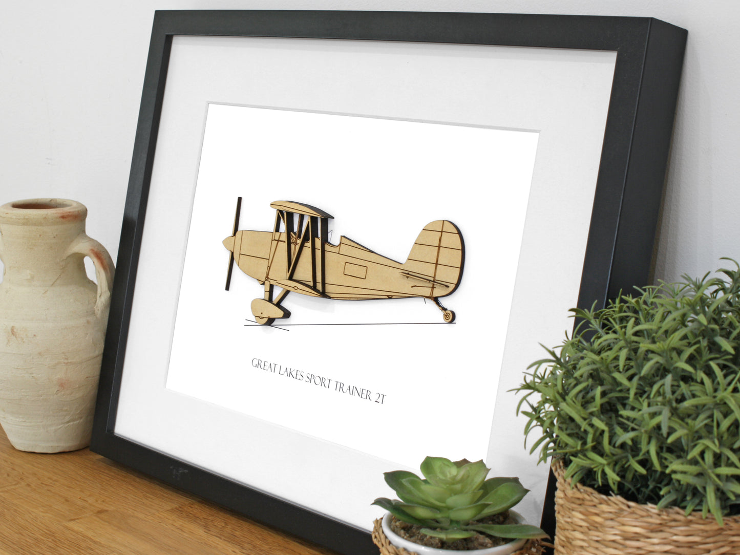 Great Lakes 2T aviation gift