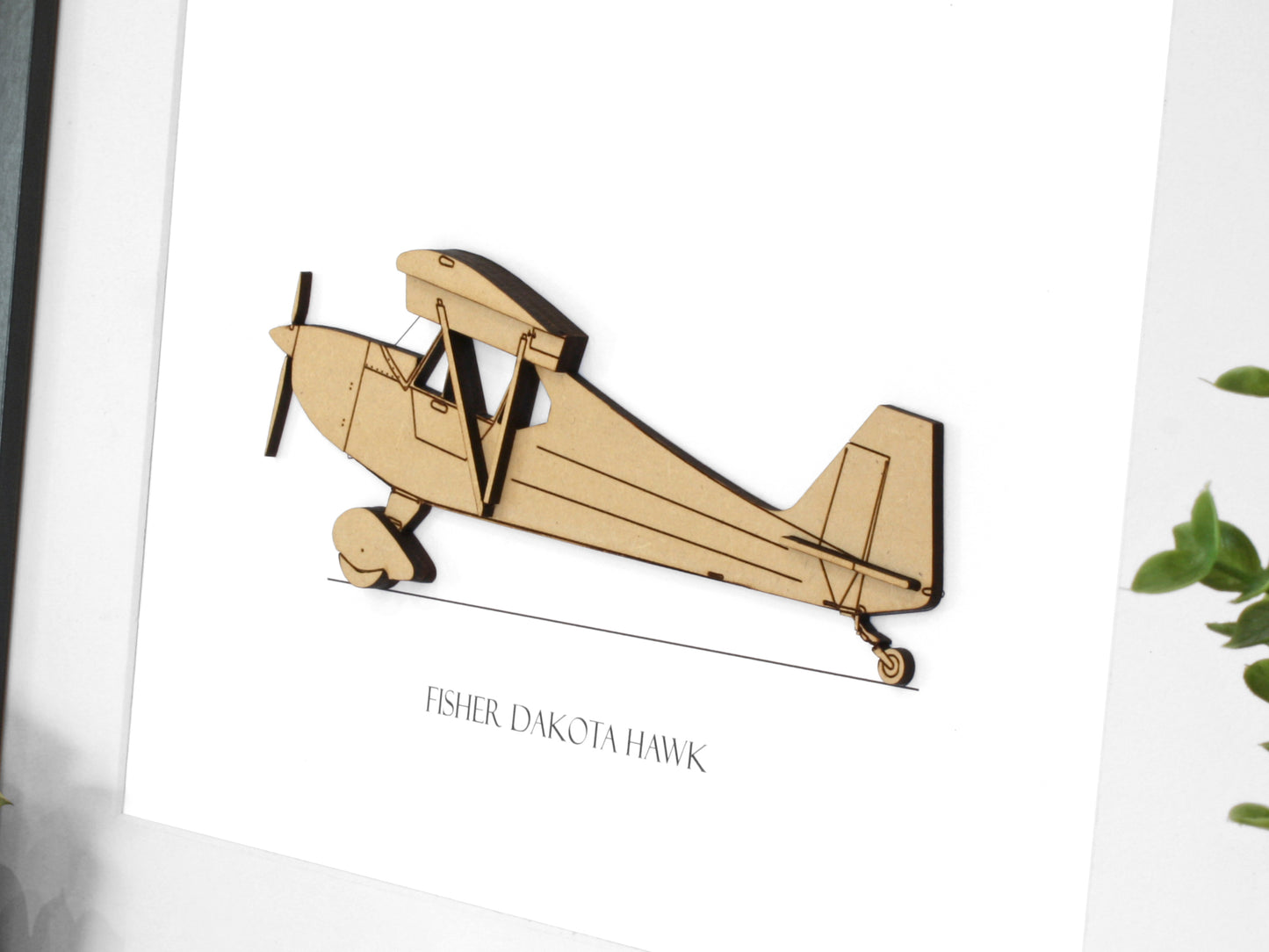 Fisher Dakota Hawk aviation gift