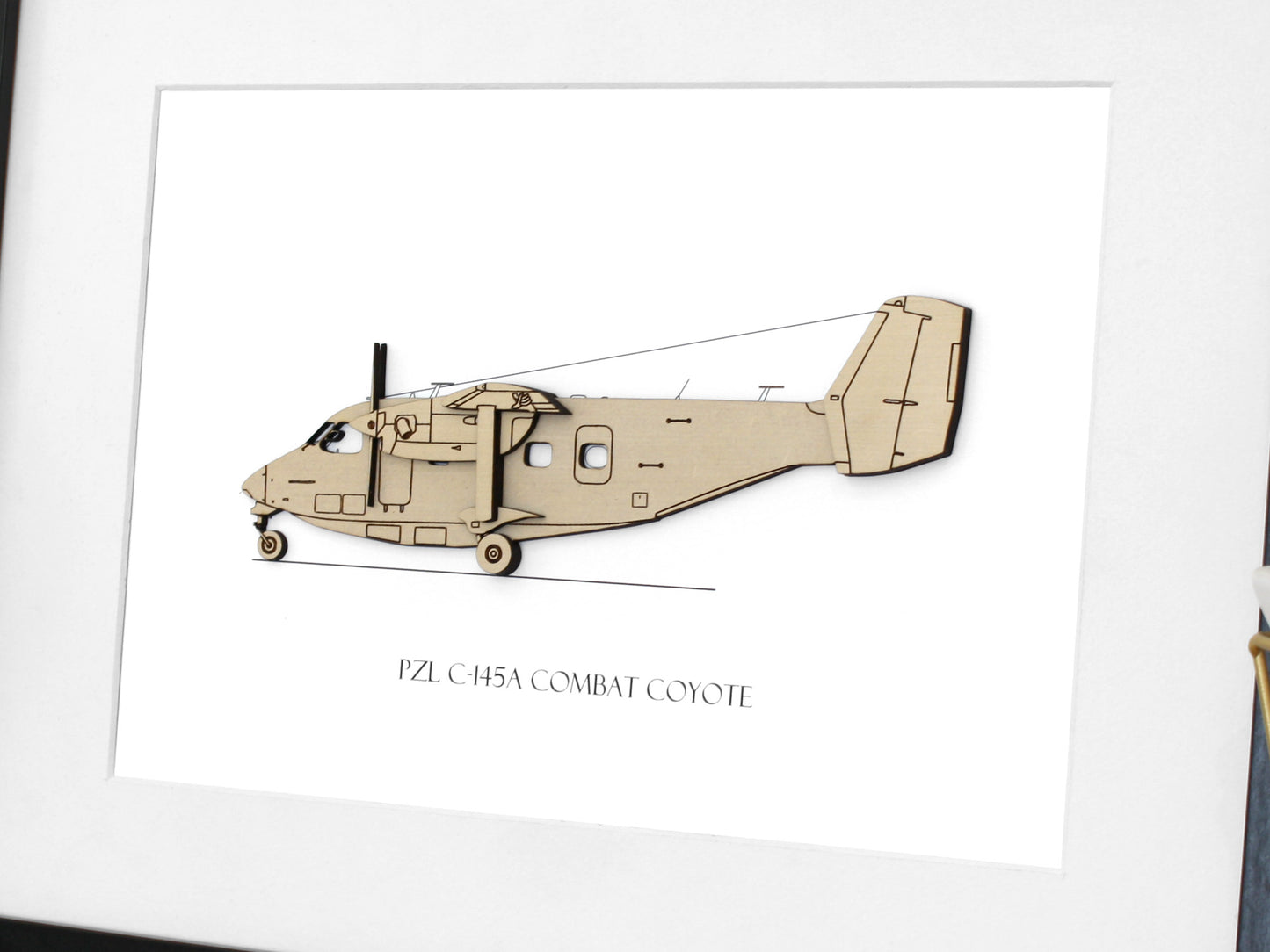 PZL C-145A Combat Coyote aviation art