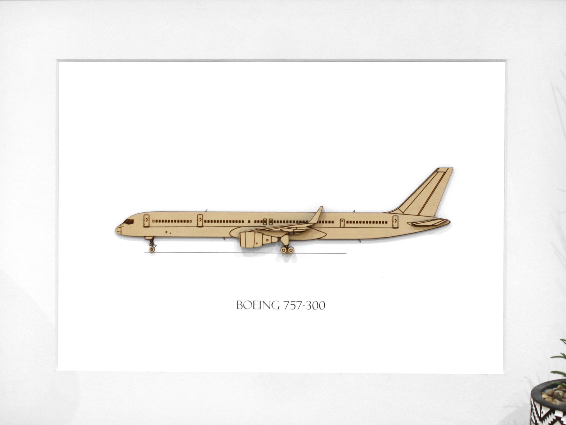 Boeing 757-300 aviation art