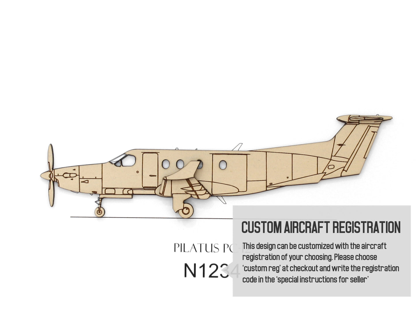Pilatus PC-12 aviation art