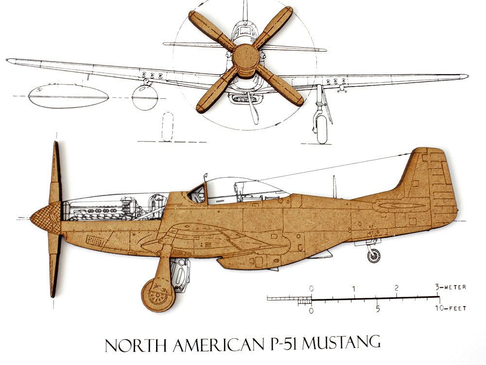 P-51 Mustang wall art gift
