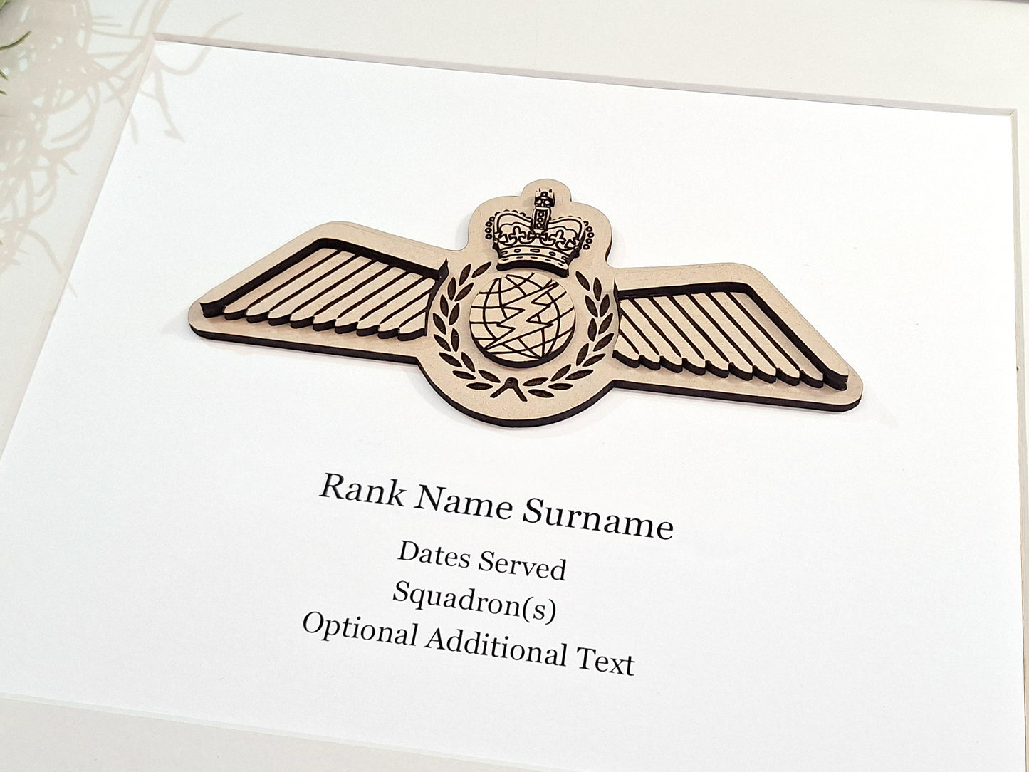 RCAF ACSO custom wings