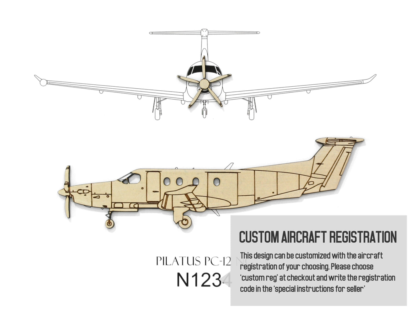 Pilatus PC-12 NG custom aviation art