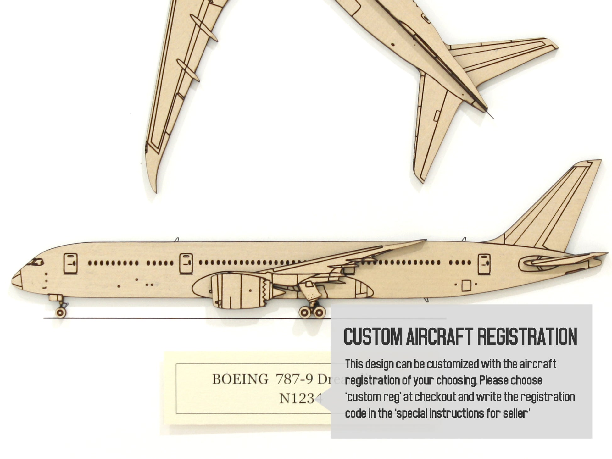 Boeing 787-9 Dreamliner custom aviation art