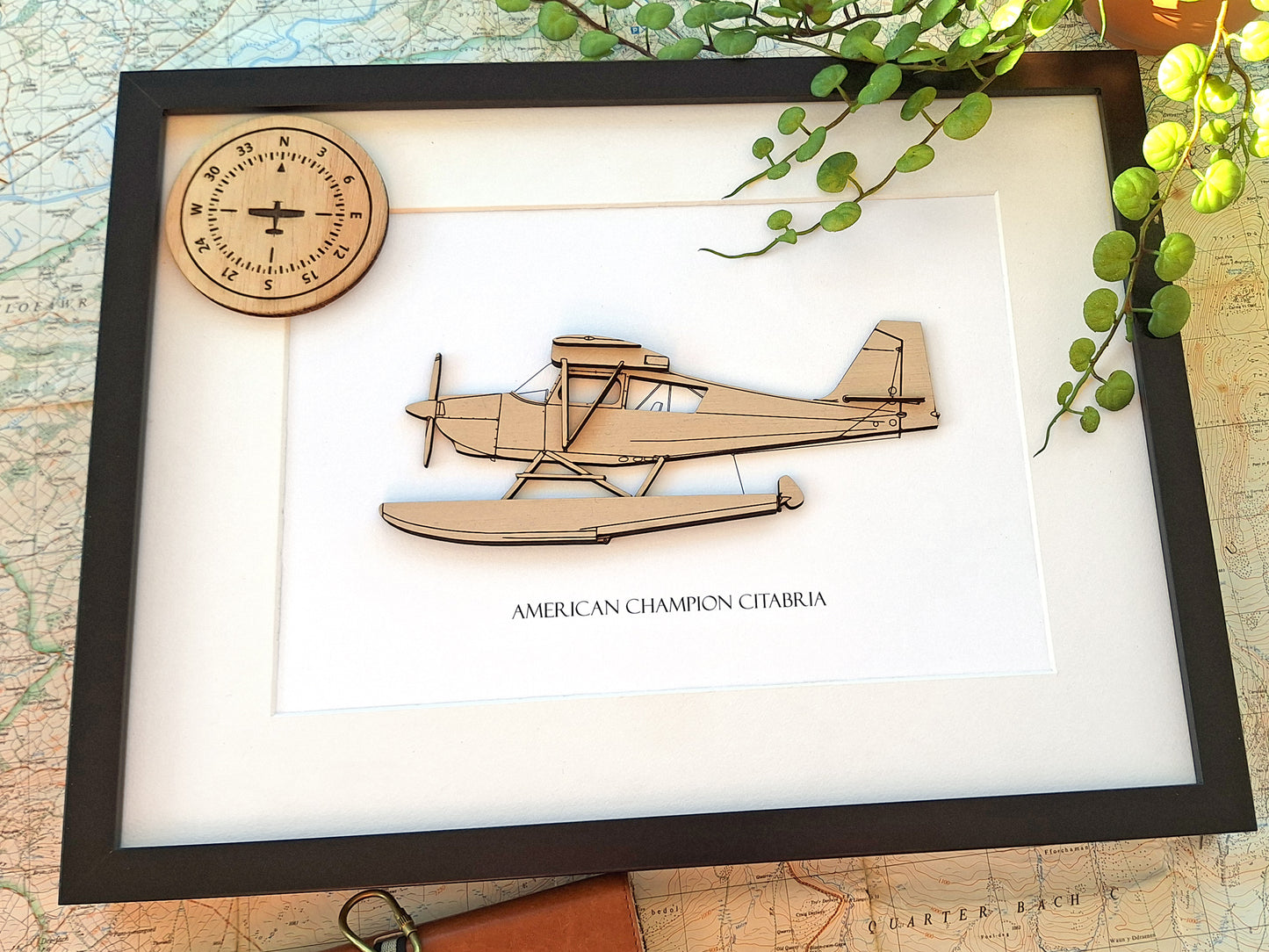 American Champion Citabria floatplane art