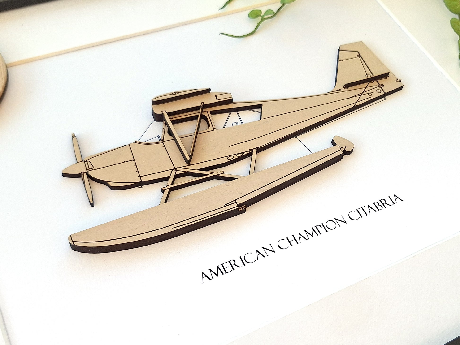 American Champion Citabria floatplane aviation gifts