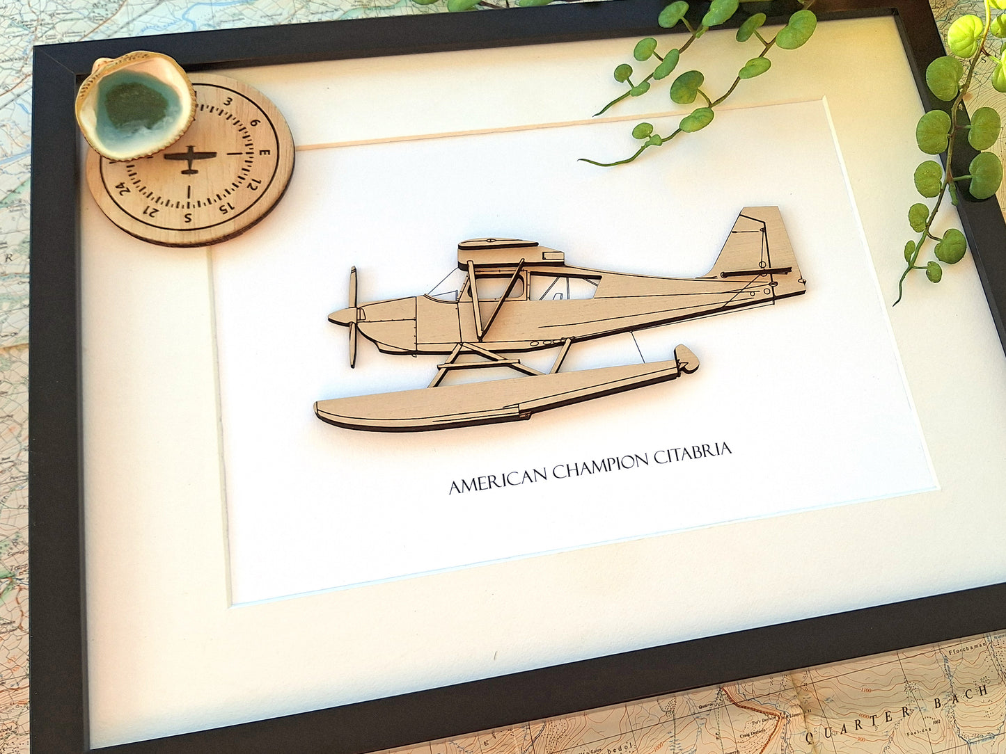 American Champion Citabria floatplane pilot gifts