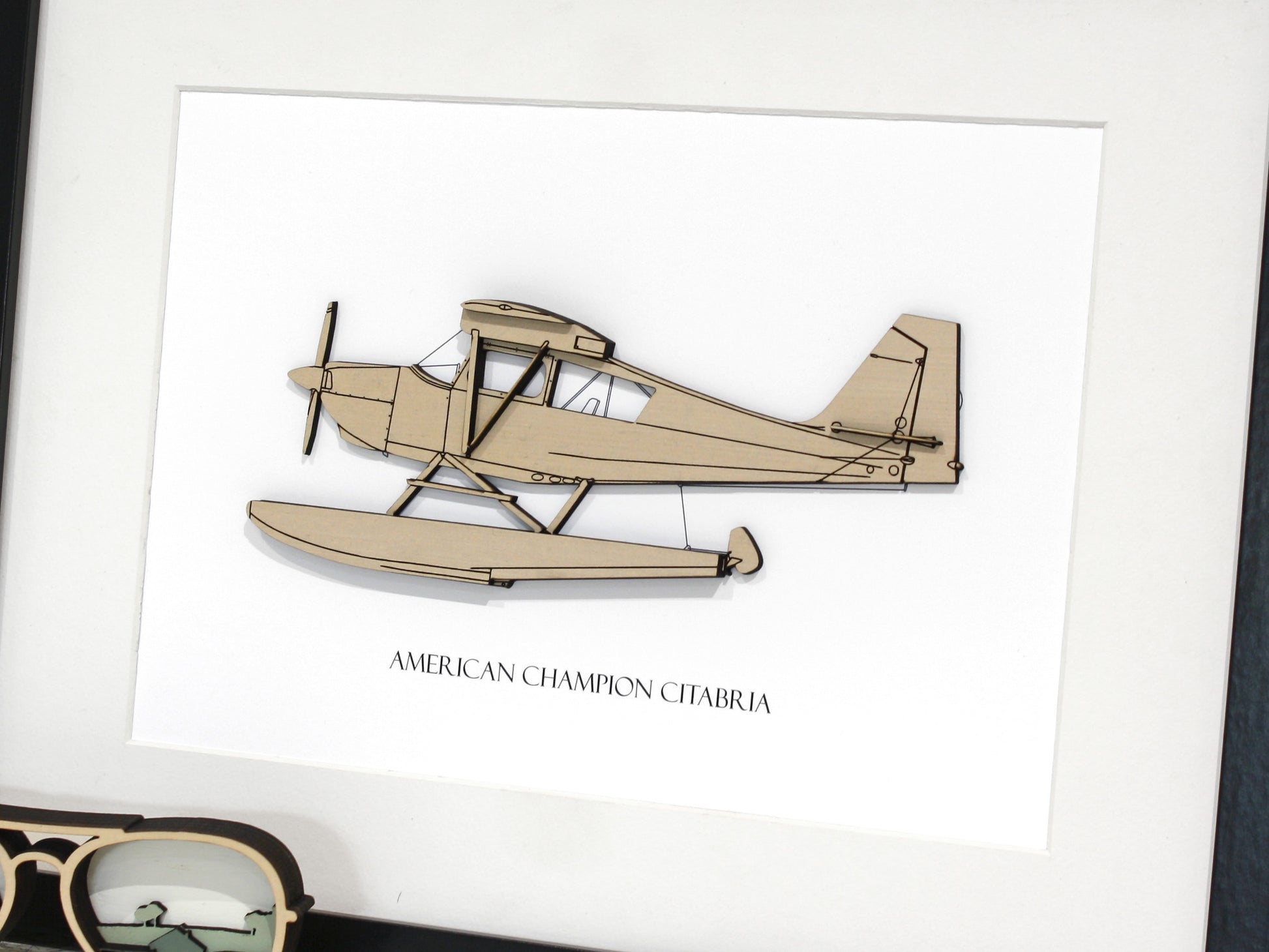 American Champion Citabria floatplane pilot gift