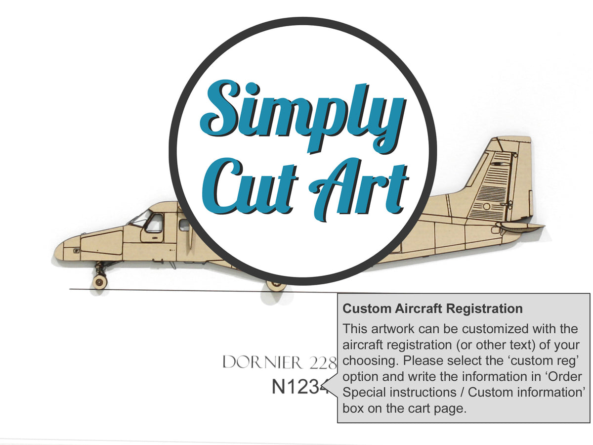 Arte aeronáutico del Dornier 228-100
