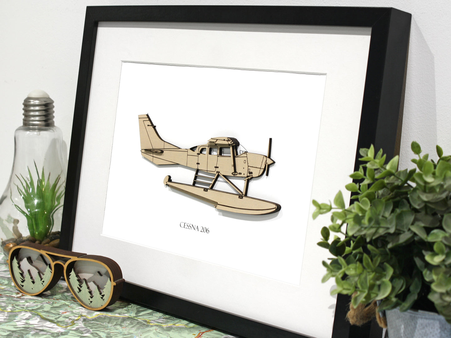 Cessna 206 floatplane art