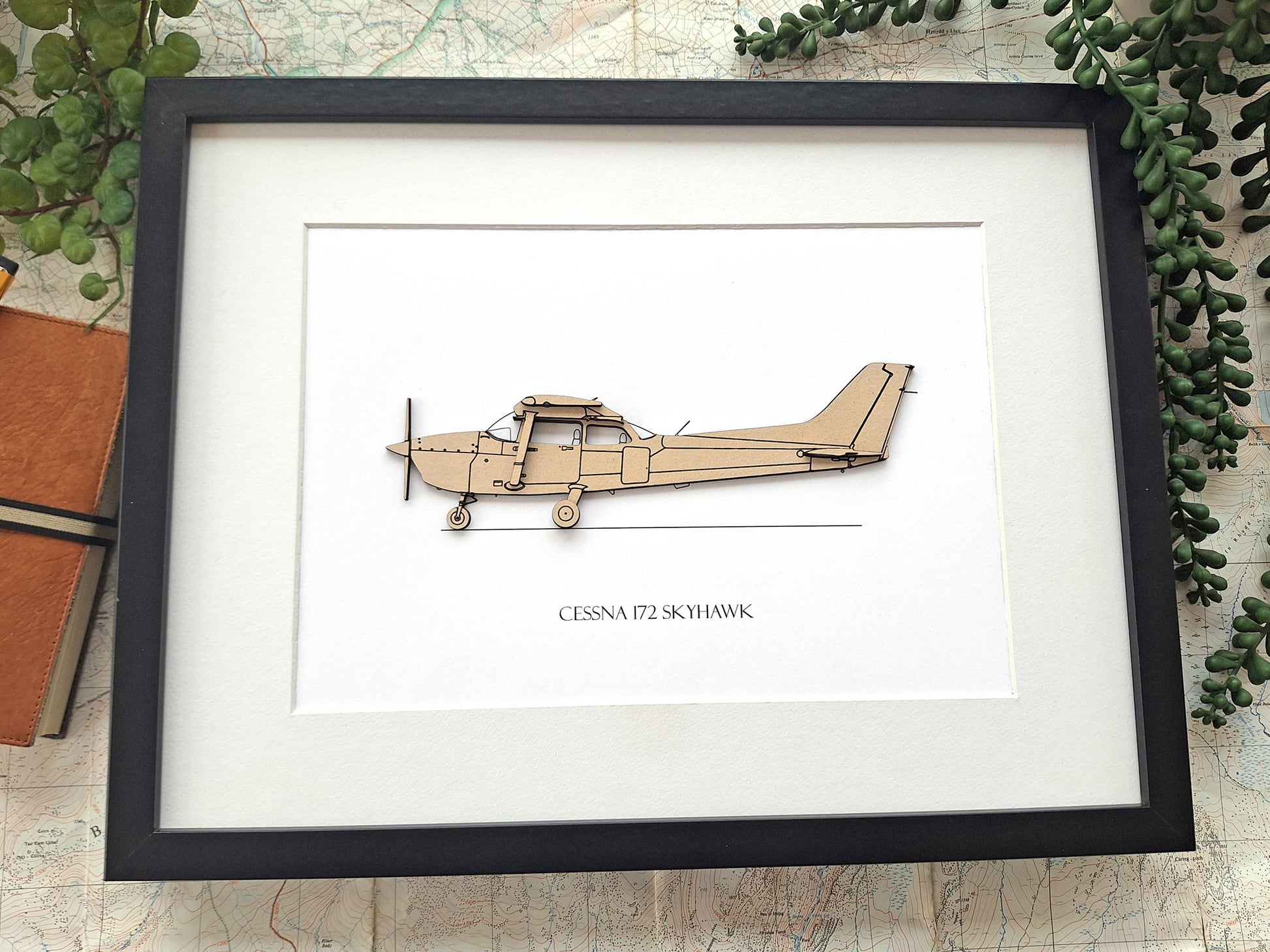 Cessna 172 Skyhawk aviation art