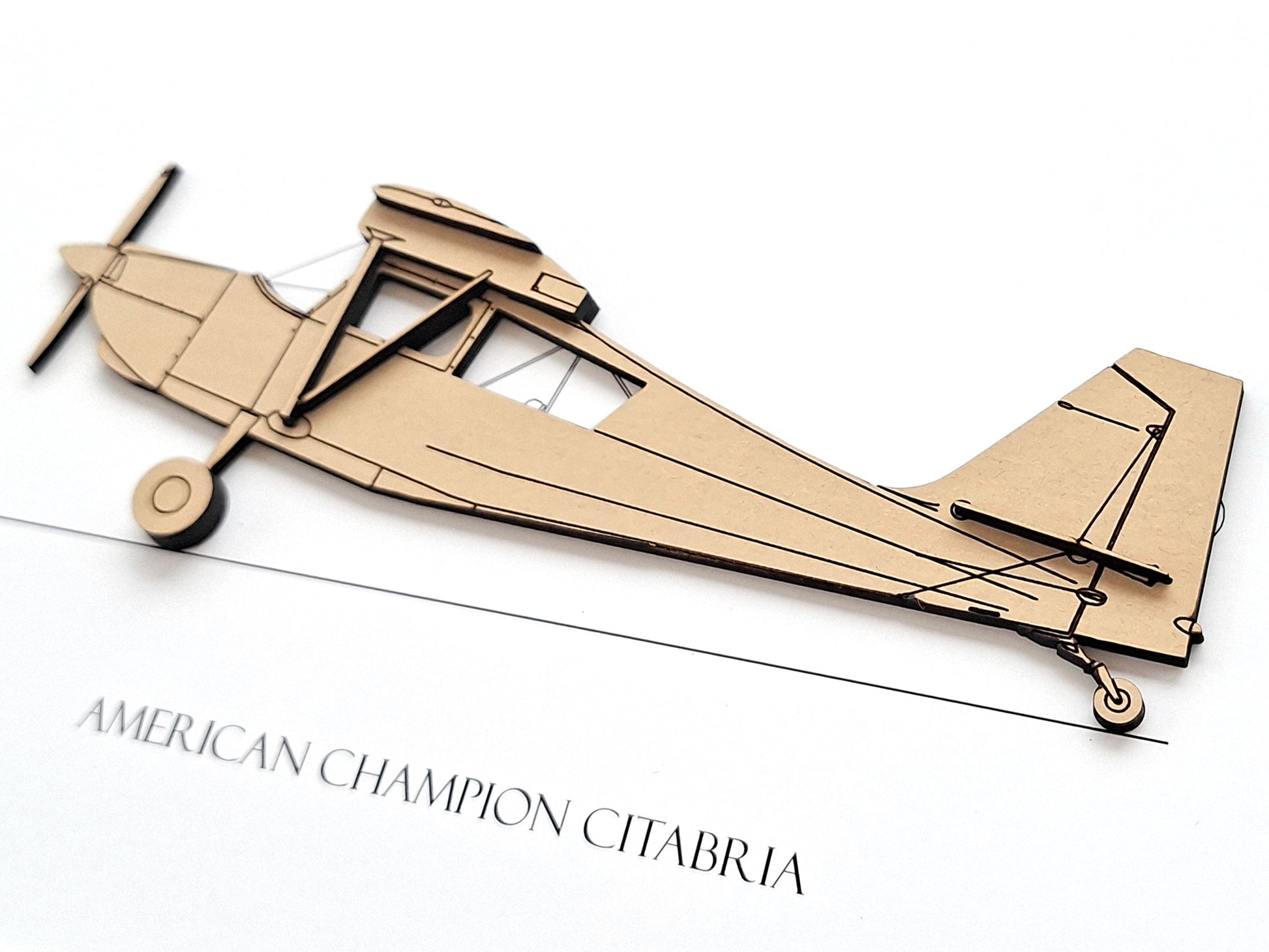 American Champion Citabria aviation art