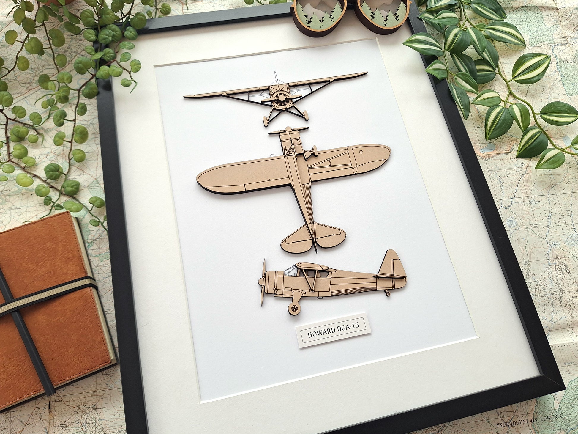 Howard DGA-15 custom aviation art