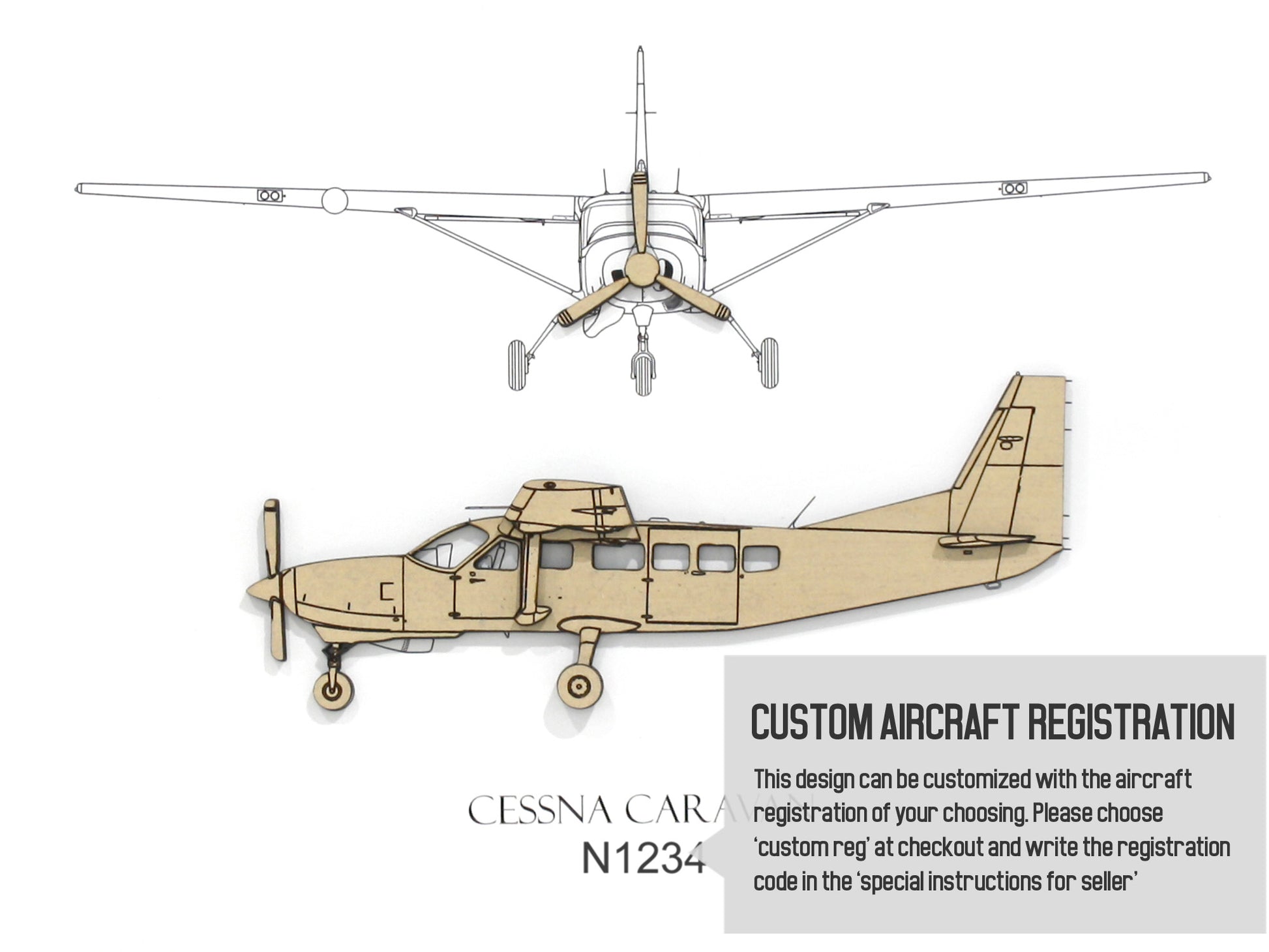 Cessna Caravan custom aviation art