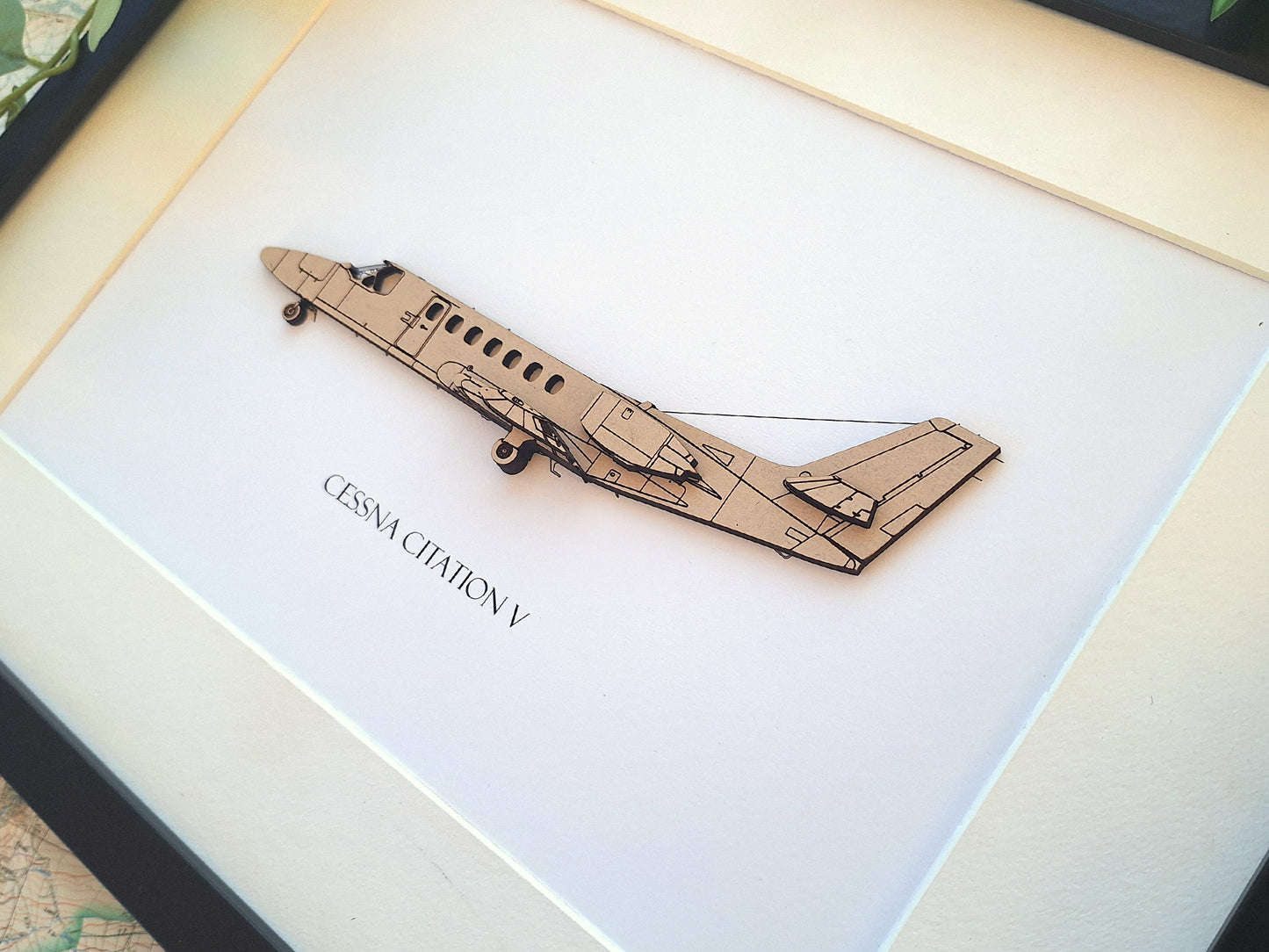 Cessna Citation V custom aviation art