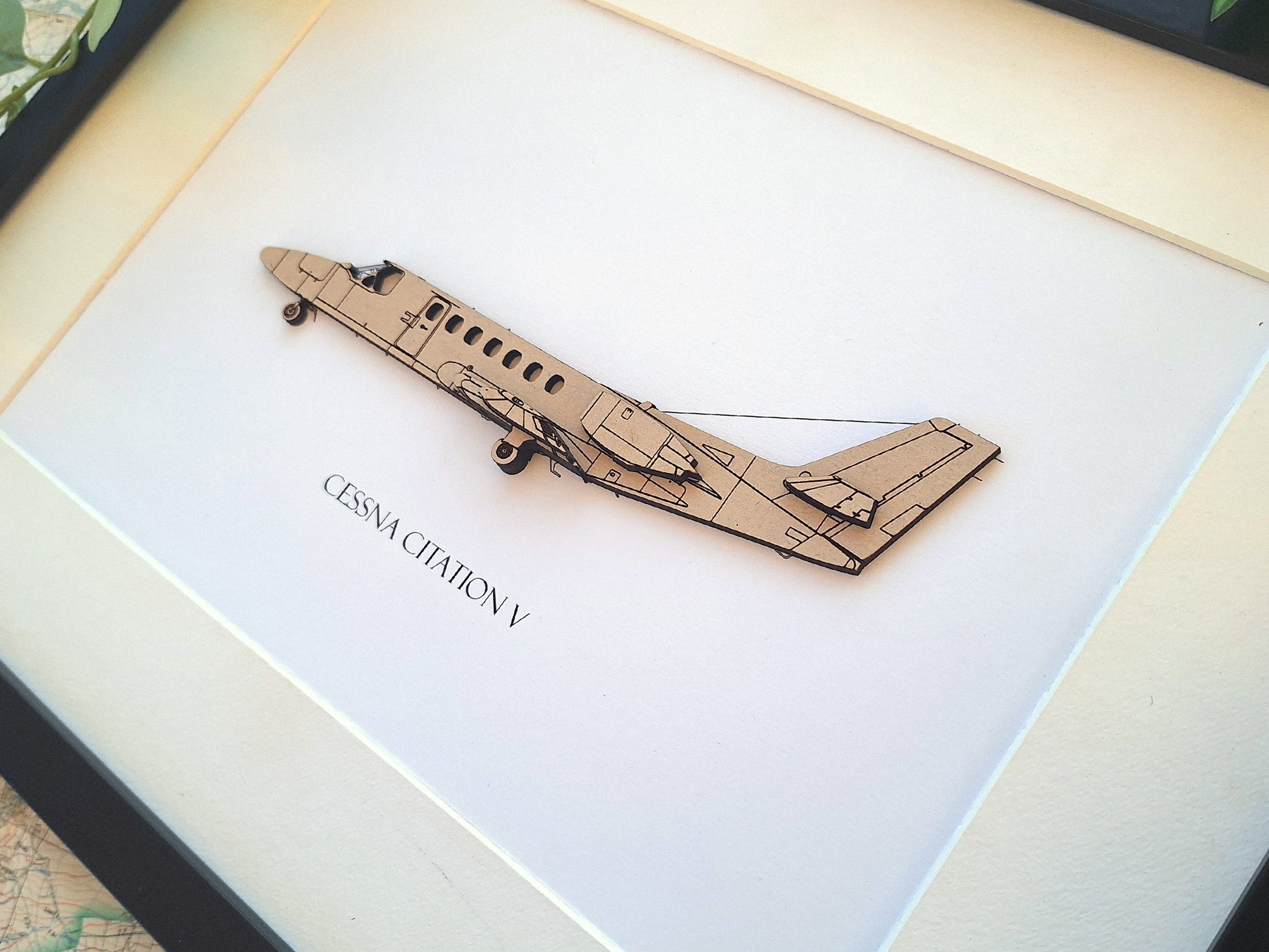Cessna Citation V custom aviation art