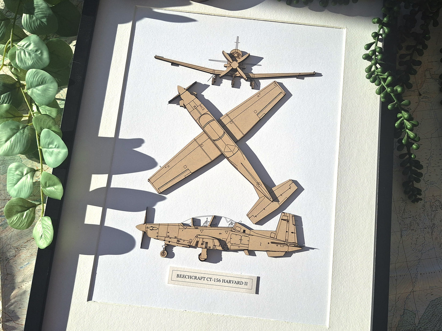 CT-156 Harvard II aviation art