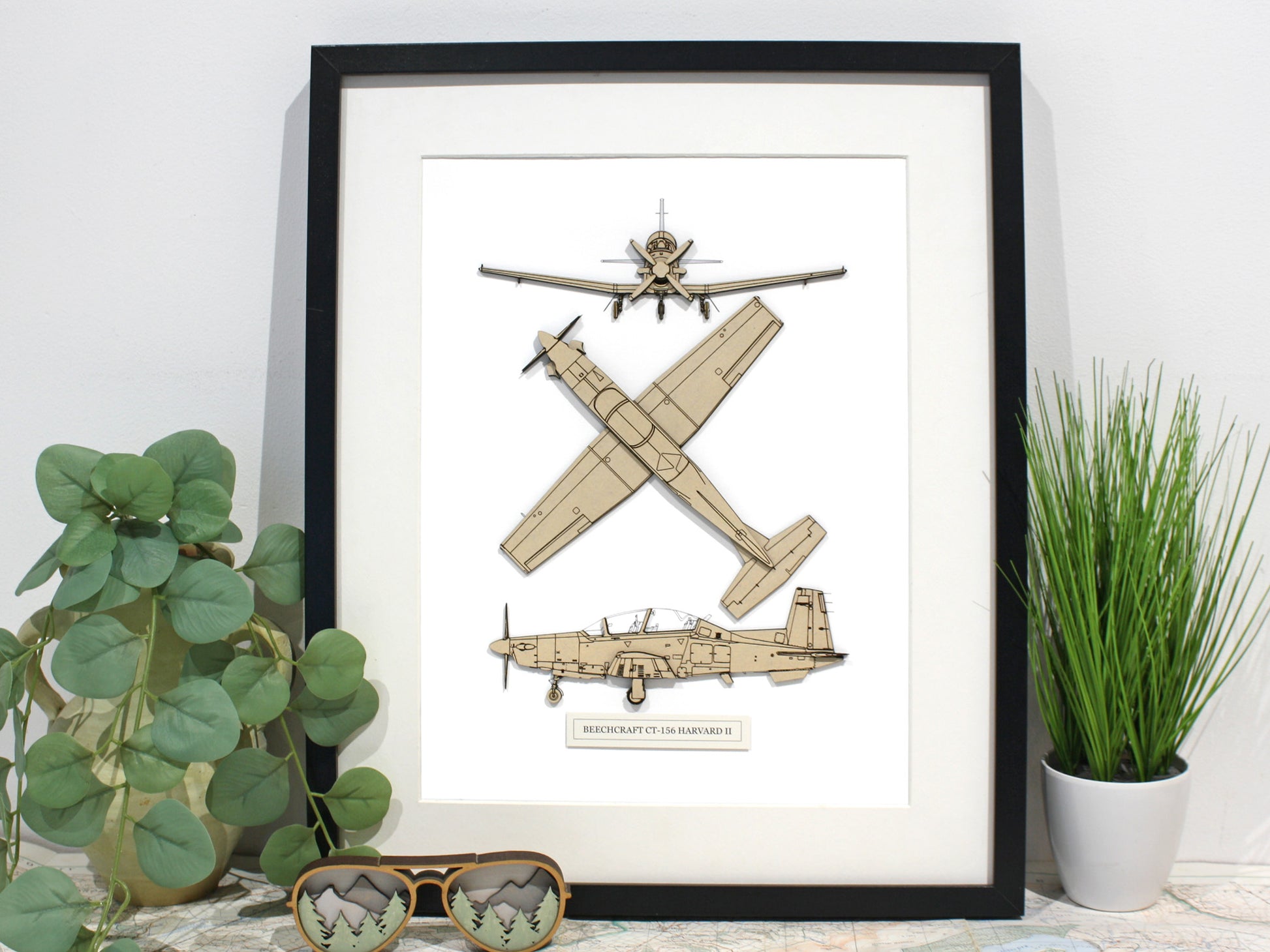 CT-156 Harvard II aviation art