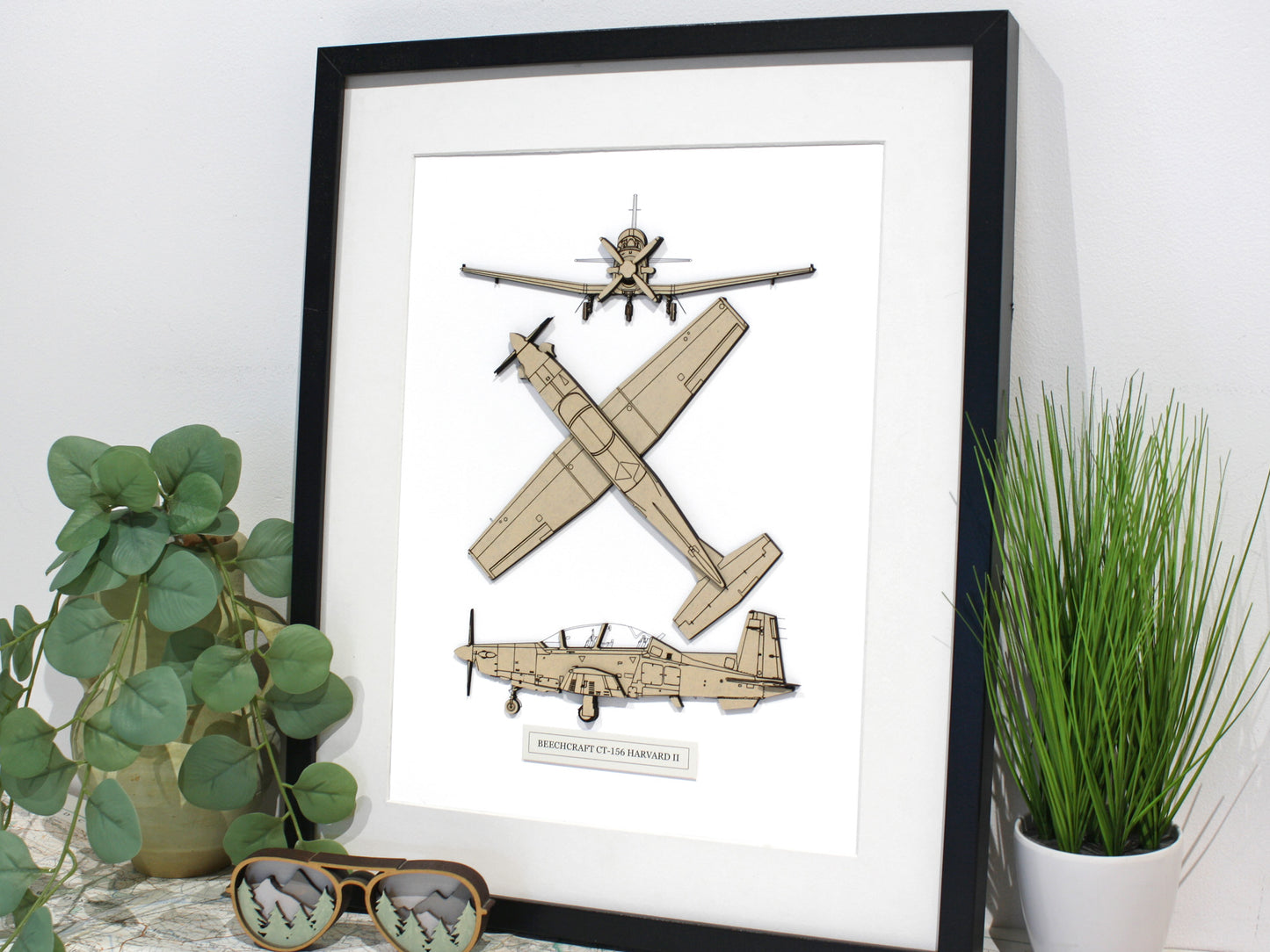 CT-156 Harvard II aviation art